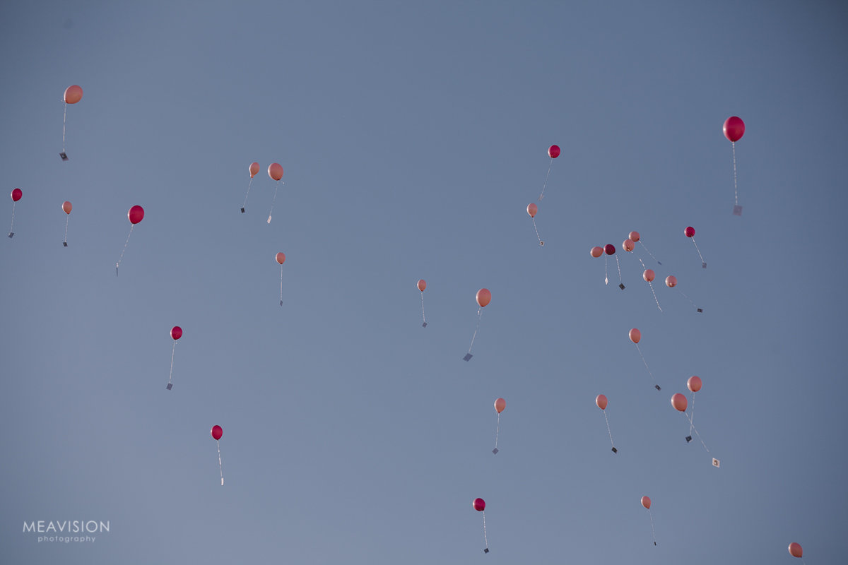 tgyhochzeit_0732