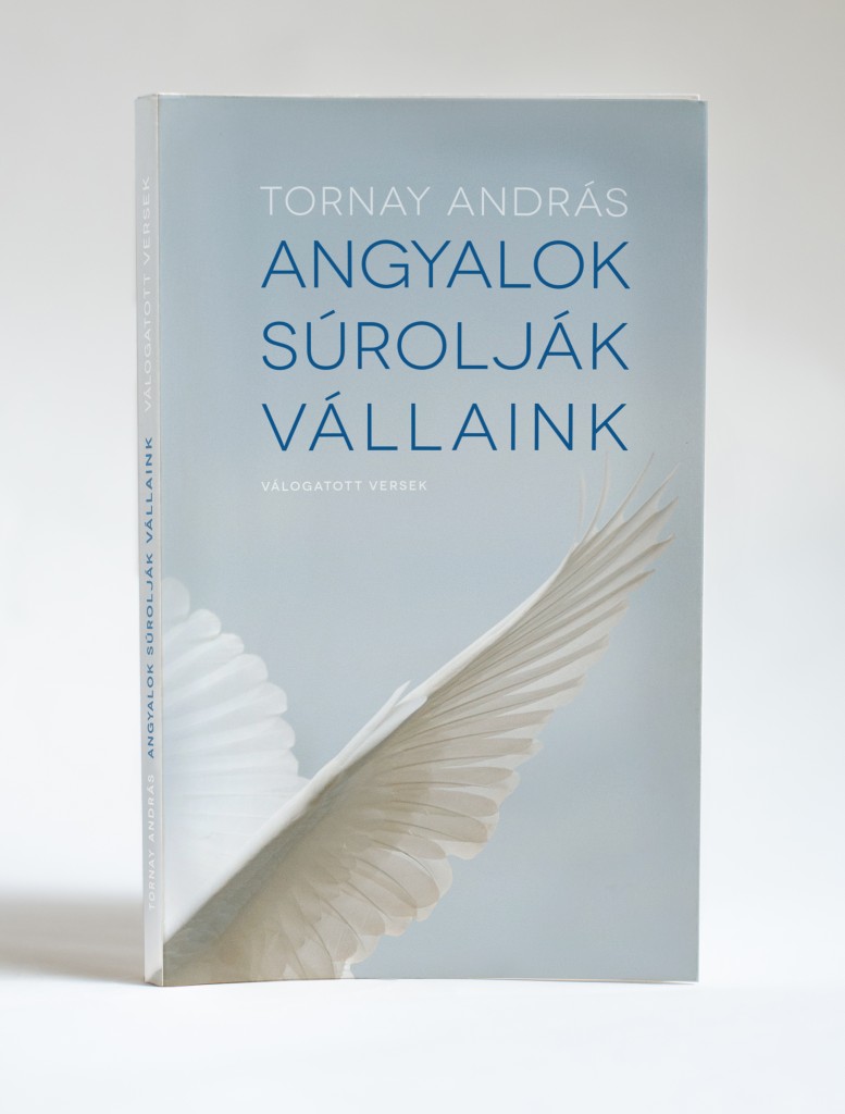 TornayMockup