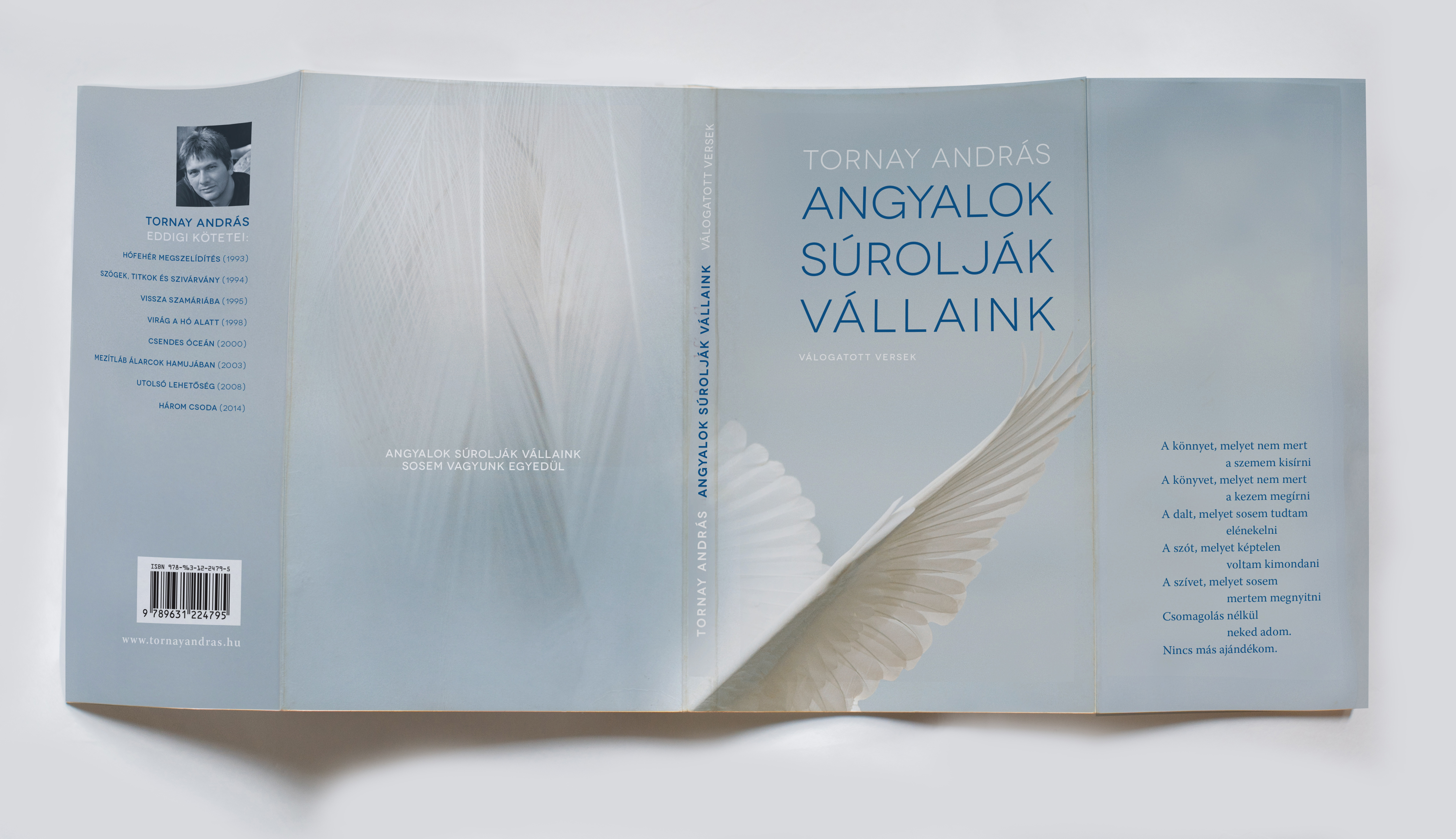 TornayMockup2